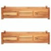 VidaXL Lits surélevés de jardin 2 pcs Bois d'acacia 100x30x25 cm