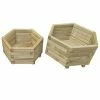 VidaXL Ensemble de lit surélevé de jardin 2 pcs Bois de pin impregné