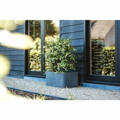 Capi Jardinière Nature Rib rectangulaire 73x39x32 cm Gris foncé 2 Capi Jardinière Nature Rib rectangulaire 73x39x32 cm Gris foncé – Image 2
