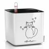 LECHUZA Jardinière de table CUBE Glossy CAT 14 ALL-IN-ONE Blanc