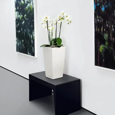 LECHUZA Jardinière CUBICO Color 22 ALL-IN-ONE Blanc 2 LECHUZA Jardinière CUBICO Color 22 ALL-IN-ONE Blanc – Image 2