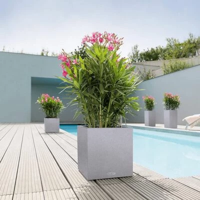 LECHUZA Jardinière CANTO Stone 30 Low ALL-IN-ONE Gris pierre 2 LECHUZA Jardinière CANTO Stone 30 Low ALL-IN-ONE Gris pierre – Image 2