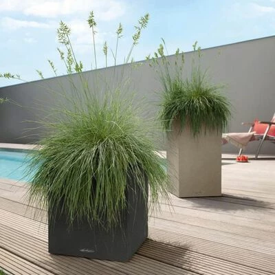 LECHUZA Jardinière CANTO Stone 30 Low ALL-IN-ONE Noir graphite 2 LECHUZA Jardinière CANTO Stone 30 Low ALL-IN-ONE Noir graphite – Image 2