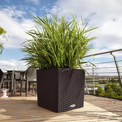 LECHUZA Jardinière CUBE Cottage 30 ALL-IN-ONE Moka 2 LECHUZA Jardinière CUBE Cottage 30 ALL-IN-ONE Moka – Image 2