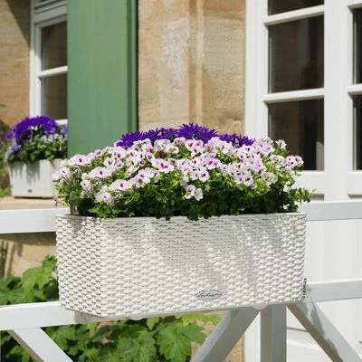 LECHUZA Jardinière BALCONERA Cottage 50 ALL-IN-ONE Blanc 2 LECHUZA Jardinière BALCONERA Cottage 50 ALL-IN-ONE Blanc – Image 2
