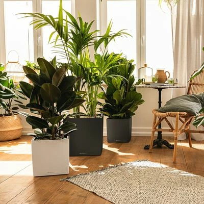 LECHUZA Jardinière CUBE 30 ALL-IN-ONE Charbon métallique 2 LECHUZA Jardinière CUBE 30 ALL-IN-ONE Charbon métallique – Image 2