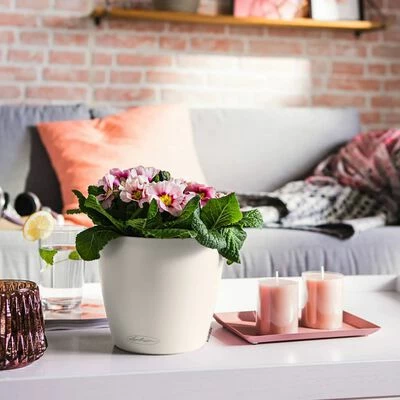 LECHUZA Jardinière CLASSICO Color 21 ALL-IN-ONE Blanc 2 LECHUZA Jardinière CLASSICO Color 21 ALL-IN-ONE Blanc – Image 2