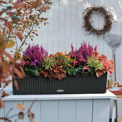 LECHUZA Jardinière BALCONERA Cottage 80 ALL-IN-ONE Granit 2 LECHUZA Jardinière BALCONERA Cottage 80 ALL-IN-ONE Granit – Image 2