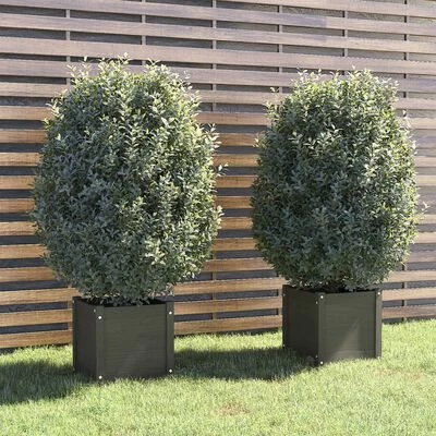 VidaXL Jardinières d'extérieur 2 pcs Gris 40x40x40 cm Bois de pin 2 VidaXL Jardinières d'extérieur 2 pcs Gris 40x40x40 cm Bois de pin – Image 2