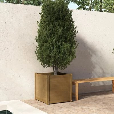 VidaXL Jardinière d'extérieur Marron miel 60x60x60 cm Bois de pin 2 VidaXL Jardinière d'extérieur Marron miel 60x60x60 cm Bois de pin – Image 2