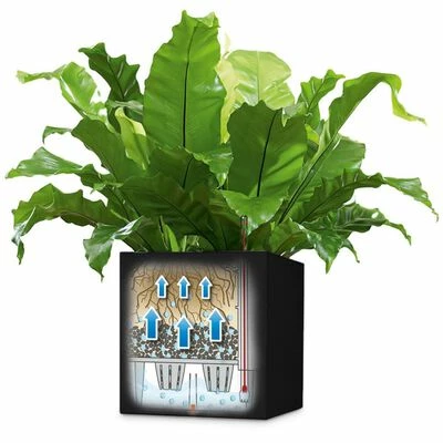 LECHUZA Jardinière Canto Color Square 40 ALL-IN-ONE Graphite 13722 2 LECHUZA Jardinière Canto Color Square 40 ALL-IN-ONE Graphite 13722 – Image 2