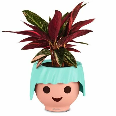 LECHUZA Jardinière de table OJO ALL-IN-ONE Vert aigue-marine 2 LECHUZA Jardinière de table OJO ALL-IN-ONE Vert aigue-marine – Image 2