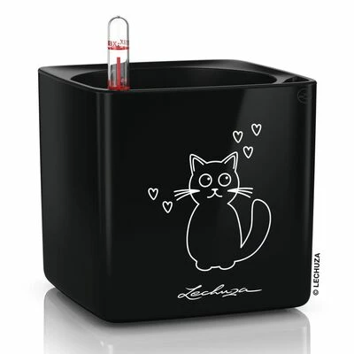 LECHUZA Jardinière de table CUBE Glossy CAT 14 ALL-IN-ONE Noir 2 LECHUZA Jardinière de table CUBE Glossy CAT 14 ALL-IN-ONE Noir – Image 2