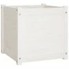 VidaXL Jardinière d'extérieur Blanc 50x50x50 cm Bois de pin massif