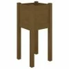 VidaXL Jardinière d'extérieur Marron miel 31x31x70 cm Bois de pin