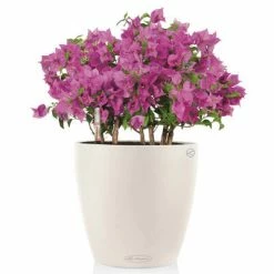 LECHUZA Jardinière Classico Color 28 ALL-IN-ONE Blanc brillant 13190 -Pots & cache-pots Soldes 2022 image 3 421430