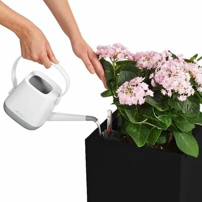 LECHUZA Jardinière Canto Color Square 40 ALL-IN-ONE Graphite 13722 3 LECHUZA Jardinière Canto Color Square 40 ALL-IN-ONE Graphite 13722 – Image 3