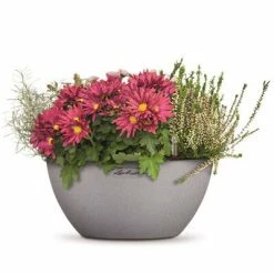 LECHUZA Jardinière CUBETO Color 30 ALL-IN-ONE Gris pierre 13830 -Pots & cache-pots Soldes 2022 image 3 421445