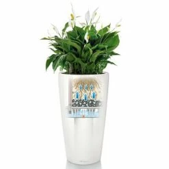 LECHUZA Jardinière Rondo 32 ALL-IN-ONE Blanc haute brillance 15780 -Pots & cache-pots Soldes 2022 image 3 421463