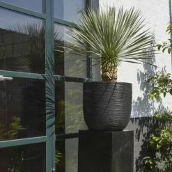 Capi Jardinière Nature Rib 35 x 34 cm Noir KBLR932 -Pots & cache-pots Soldes 2022 image 3 424233