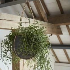 Capi Pot à fleurs Nature Row Rond 40 x 32 cm Noir KBLRO270 -Pots & cache-pots Soldes 2022 image 3 424266