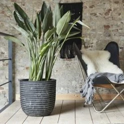 Capi Jardinière Nature Row 43 x 41 cm Anthracite KRWZ933 8 Capi Jardinière Nature Row 43 x 41 cm Anthracite KRWZ933 -Pots & cache-pots Soldes 2022 image 3 424292