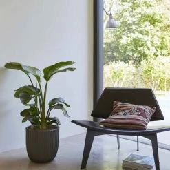 Capi Jardinière Urban Tube 35 x 34 cm Noir KBLT932 -Pots & cache-pots Soldes 2022 image 3 424317