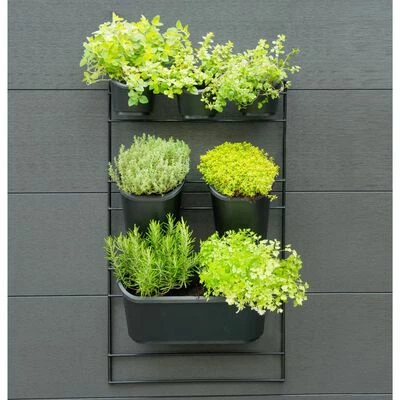 Nature Kit mural de jardin vertical 3 Nature Kit mural de jardin vertical – Image 3