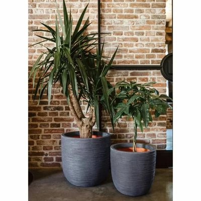 Capi Jardinière Nature Rib 54x52 cm Gris foncé 3 Capi Jardinière Nature Rib 54x52 cm Gris foncé – Image 3