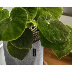 LECHUZA Jardinière TRENDCOVER 32 Felt ALL-IN-ONE Gris clair -Pots & cache-pots Soldes 2022 image 3 441320