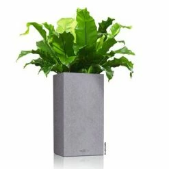 LECHUZA Jardinière CANTO Stone 30 High ALL-IN-ONE Gris pierre -Pots & cache-pots Soldes 2022 image 3 442070