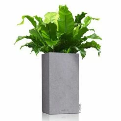 LECHUZA Jardinière CANTO Stone 40 High ALL-IN-ONE Gris pierre 8 LECHUZA Jardinière CANTO Stone 40 High ALL-IN-ONE Gris pierre -Pots & cache-pots Soldes 2022 image 3 442071