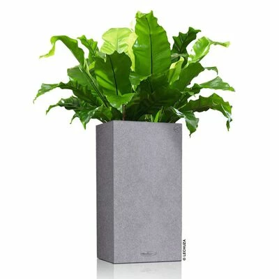 LECHUZA Jardinière CANTO Stone 40 High ALL-IN-ONE Gris pierre 3 LECHUZA Jardinière CANTO Stone 40 High ALL-IN-ONE Gris pierre – Image 3