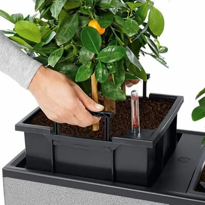 LECHUZA Jardinière TRIO Stone 30 ALL-IN-ONE Gris pierre 3 LECHUZA Jardinière TRIO Stone 30 ALL-IN-ONE Gris pierre – Image 3