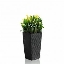 LECHUZA Jardinière CUBICO Cottage 30 ALL-IN-ONE Granite -Pots & cache-pots Soldes 2022 image 3 442079