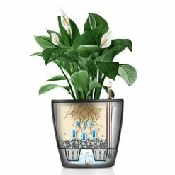 LECHUZA Jardinière CLASSICO Premium 21 LS ALL-IN-ONE Blanc brillant -Pots & cache-pots Soldes 2022 image 3 442093