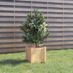 VidaXL Jardinières d'extérieur 2 pcs 31x31x31 cm Bois de pin massif -Pots & cache-pots Soldes 2022 image 3 810523