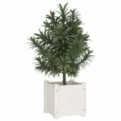 VidaXL Jardinières 2 pcs Blanc 31x31x31 cm Bois de pin massif 8 VidaXL Jardinières 2 pcs Blanc 31x31x31 cm Bois de pin massif -Pots & cache-pots Soldes 2022 image 3 810525