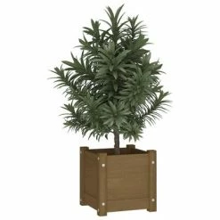 VidaXL Jardinières d'extérieur 2pcs Marron miel 31x31x31cm Bois de pin -Pots & cache-pots Soldes 2022 image 3 810529