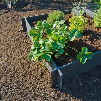 Nature Potager surélevé 19 cm 6040690 4 Nature Potager surélevé 19 cm 6040690 – Image 4