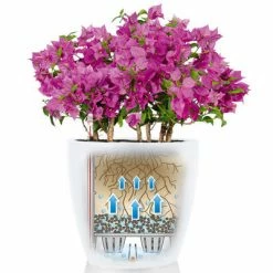 LECHUZA Jardinière Classico Color 35 ALL-IN-ONE Blanc 13210 -Pots & cache-pots Soldes 2022 image 4 421433