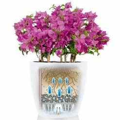 LECHUZA Jardinière Classico Color 43 ALL-IN-ONE Blanc 13230 -Pots & cache-pots Soldes 2022 image 4 421436