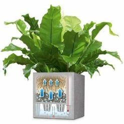 LECHUZA Jardinière Canto Color Square 40 ALL-IN-ONE Gris 13720 -Pots & cache-pots Soldes 2022 image 4 421442