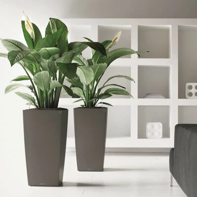 LECHUZA Jardinière Cubico 30 ALL-IN-ONE Charbon 18184 4 LECHUZA Jardinière Cubico 30 ALL-IN-ONE Charbon 18184 – Image 4