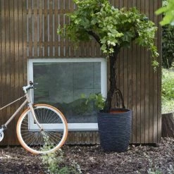 Capi Pot à fleurs Nature Row 46 x 58 cm Anthracite KRWZ783 -Pots & cache-pots Soldes 2022 image 4 424279