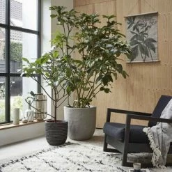 Capi Jardinière Nature Row 54 x 52 cm Anthracite KRWZ935 -Pots & cache-pots Soldes 2022 image 4 424293