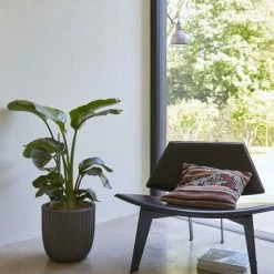 Capi Jardinière Urban Tube 54 x 52 cm Noir KBLT935 9 Capi Jardinière Urban Tube 54 x 52 cm Noir KBLT935 -Pots & cache-pots Soldes 2022 image 4 424319