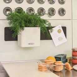 LECHUZA 3 pcs Jardinières Green Wall Home Kit Blanc 9 LECHUZA 3 pcs Jardinières Green Wall Home Kit Blanc -Pots & cache-pots Soldes 2022 image 4 425619