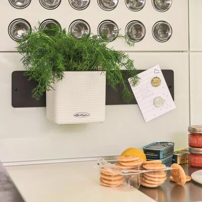 LECHUZA 3 pcs Jardinières Green Wall Home Kit Blanc 4 LECHUZA 3 pcs Jardinières Green Wall Home Kit Blanc – Image 4