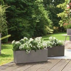 LECHUZA Jardinière BALCONERA Stone 50 ALL-IN-ONE Gris 9 LECHUZA Jardinière BALCONERA Stone 50 ALL-IN-ONE Gris -Pots & cache-pots Soldes 2022 image 4 425625